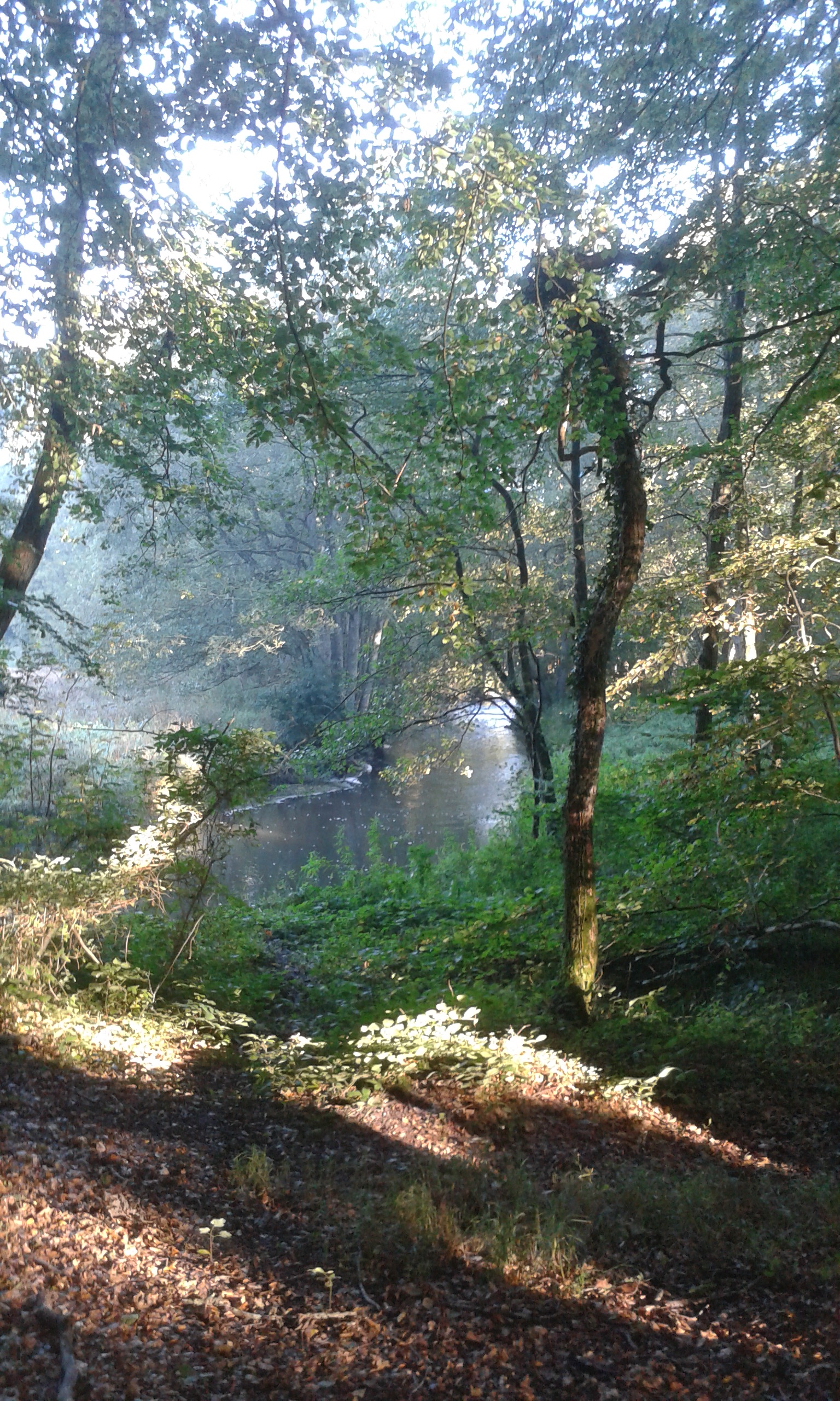 Herbst an der Treene. Die Schonzeit hat begonnen.